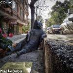 Elisabeth Rowe Profile Picture