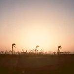 Schuyler Kozey Profile Picture